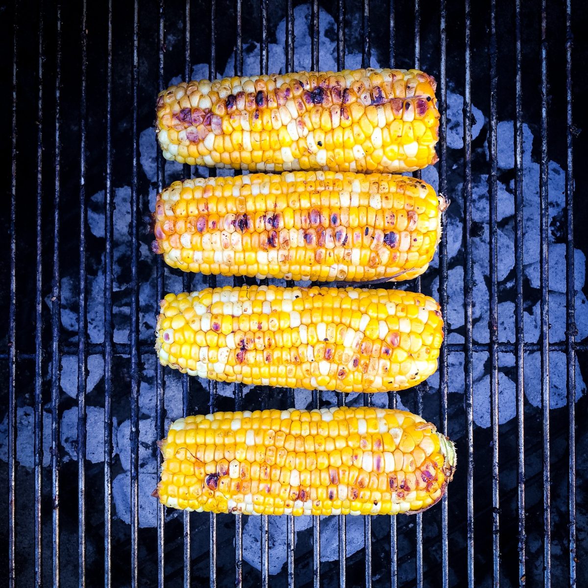 Corn roasting on a BBQ grill